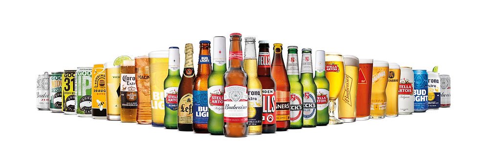 Portfolio_Product_Lineup_BBG_2020_001_Revised_V2.jpg