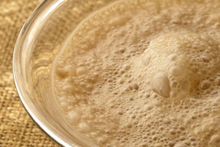 fermentation.jpg