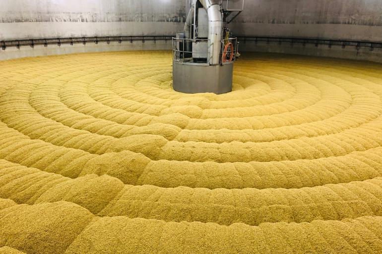 Malt.jpg